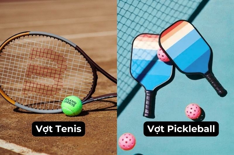 Sự khác biệt giữa bóng, vợt của tenis và pickleball Sự khác biệt giữa bóng, vợt của tenis và pickleball