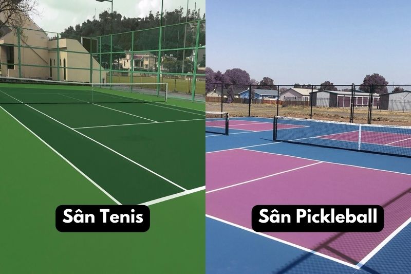 Thiết kế khác biệt giữa sân tenis và pickleball Thiết kế khác biệt giữa sân tenis và pickleball