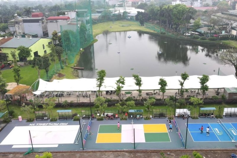 Sân Pickleball Pro Pickleball Vn