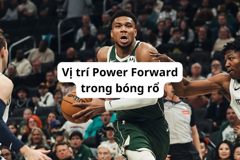 Vị trí Power Forward trong bóng rổ